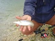 画像(180x135)・拡大画像(480x360)