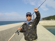 画像(180x135)・拡大画像(480x360)