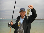 画像(180x135)・拡大画像(480x360)