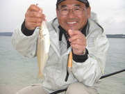 画像(180x135)・拡大画像(480x360)