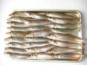 画像(180x135)・拡大画像(480x360)