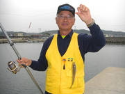 画像(180x135)・拡大画像(480x360)