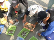 画像(180x135)・拡大画像(480x360)