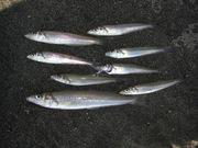 画像(180x135)・拡大画像(480x360)