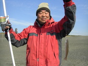 画像(180x135)・拡大画像(480x360)