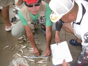 画像(180x135)・拡大画像(480x360)