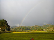 画像(180x135)・拡大画像(480x360)