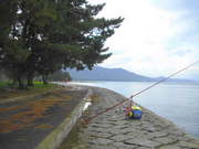 画像(180x135)・拡大画像(480x360)