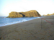 画像(180x135)・拡大画像(480x360)