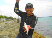 画像(180x134)・拡大画像(479x359)