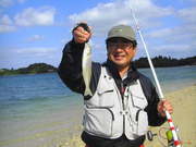 画像(180x135)・拡大画像(480x360)