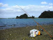 画像(180x135)・拡大画像(480x360)