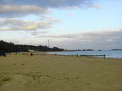 画像(180x134)・拡大画像(479x359)