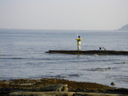 画像(180x135)・拡大画像(480x360)