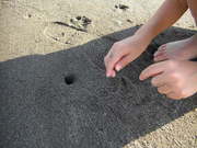 画像(180x135)・拡大画像(480x360)