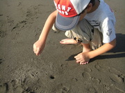 画像(180x135)・拡大画像(480x360)