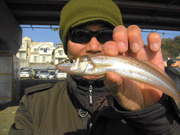 画像(180x135)・拡大画像(480x360)