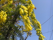 画像(180x135)・拡大画像(480x360)