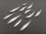 画像(180x135)・拡大画像(480x360)