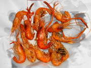 画像(180x135)・拡大画像(480x360)