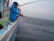 画像(180x135)・拡大画像(480x360)