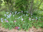 画像(180x135)・拡大画像(480x360)