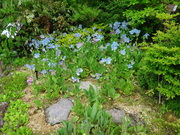 画像(180x135)・拡大画像(480x360)