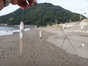 画像(180x135)・拡大画像(480x360)