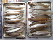 画像(180x135)・拡大画像(480x360)