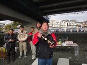 画像(180x135)・拡大画像(480x360)