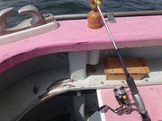 画像(180x135)・拡大画像(480x360)