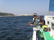 画像(180x135)・拡大画像(480x360)