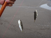 画像(180x135)・拡大画像(480x360)