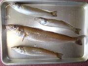 画像(180x135)・拡大画像(480x360)