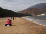 画像(180x135)・拡大画像(480x360)