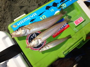 画像(180x135)・拡大画像(480x360)