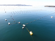 画像(180x135)・拡大画像(480x360)