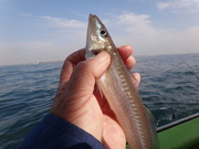 画像(180x135)・拡大画像(480x360)