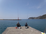 画像(180x135)・拡大画像(480x360)