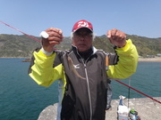 画像(180x135)・拡大画像(480x360)