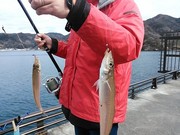 画像(180x135)・拡大画像(480x360)