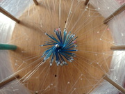 画像(180x135)・拡大画像(480x360)