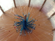 画像(180x135)・拡大画像(480x360)