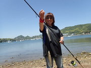 画像(180x135)・拡大画像(480x360)