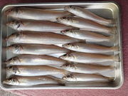 画像(180x135)・拡大画像(480x360)