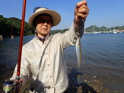 画像(180x135)・拡大画像(480x360)