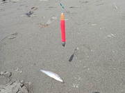 画像(180x135)・拡大画像(480x360)