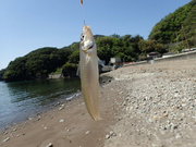 画像(180x135)・拡大画像(480x360)