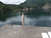 画像(180x135)・拡大画像(480x360)