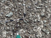 画像(180x135)・拡大画像(480x360)